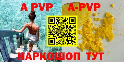 стаф Кунгур