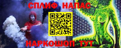 стаф Кунгур