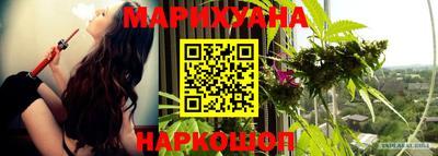 стаф Кунгур