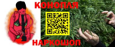 стаф Кунгур