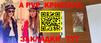 стаф Кунгур