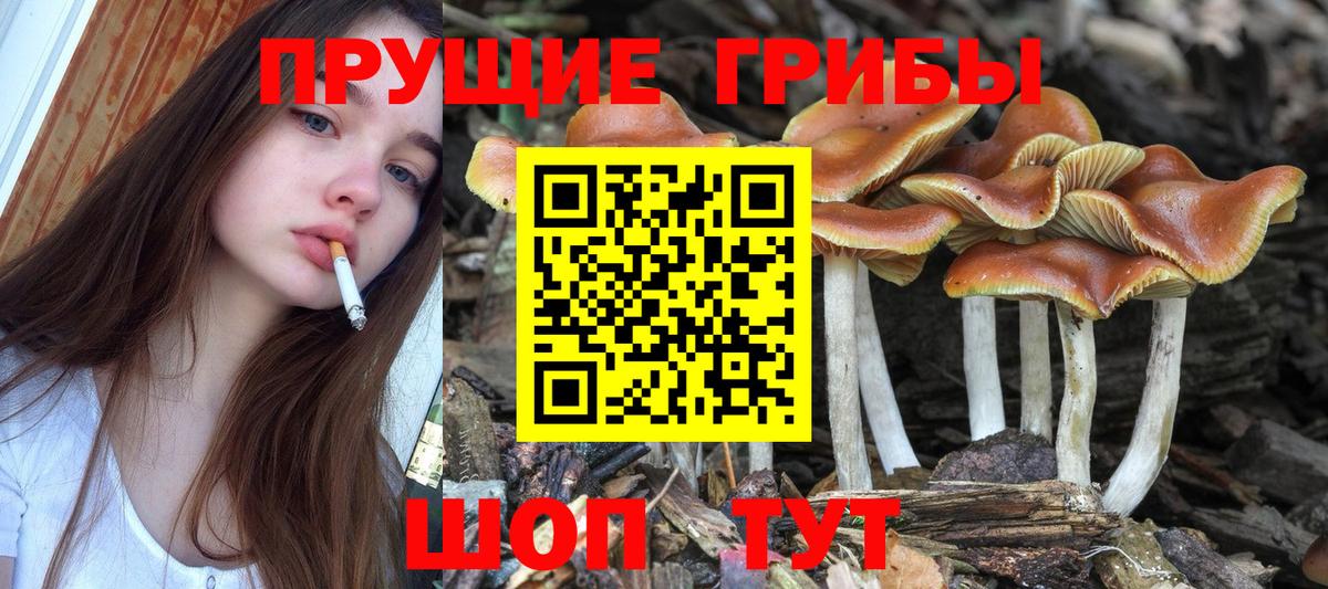 Псилоцибиновые грибы Magic Shrooms  Вход с VPN  Знаменск 